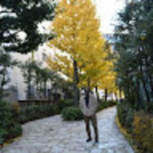 Meet your Posher, Marvin